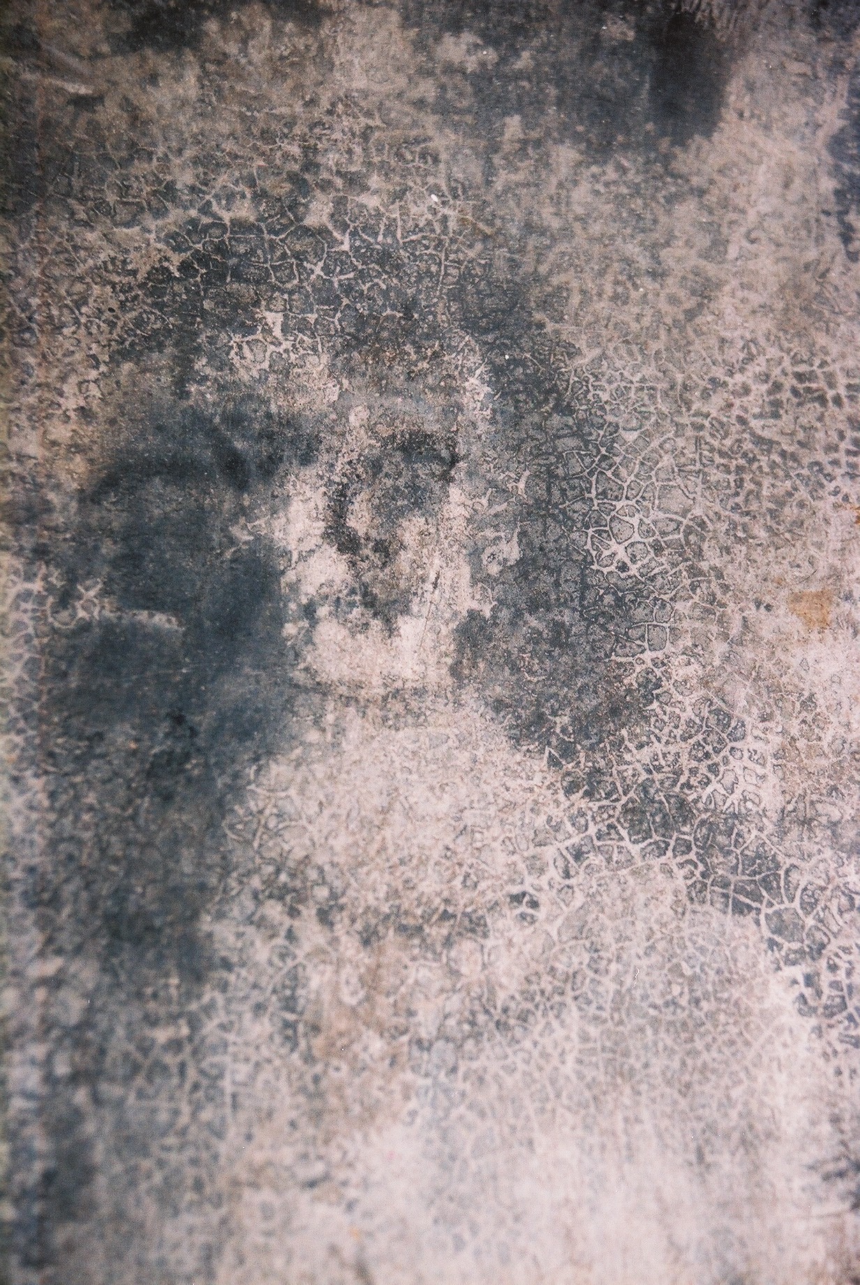 A blurry woman's face in the House of the Faces, February 1992