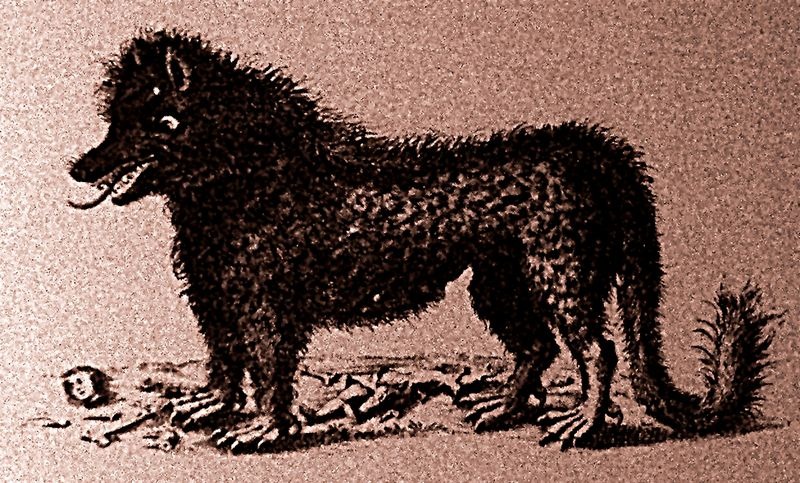 A representation of the Beast of Noth found online, not a photograph