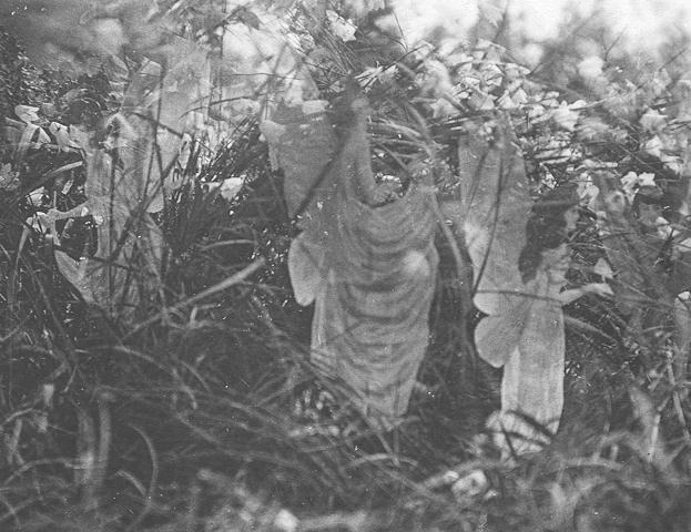 Fairies and Their Sun-Bath, August 1920, the photograph Frances maintained was genuine.