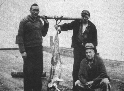 Naden Harbour photograph, 1937 (unverified image path)