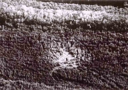 Aerial photo of the Ngatea Circle some months after its mysterious appearance