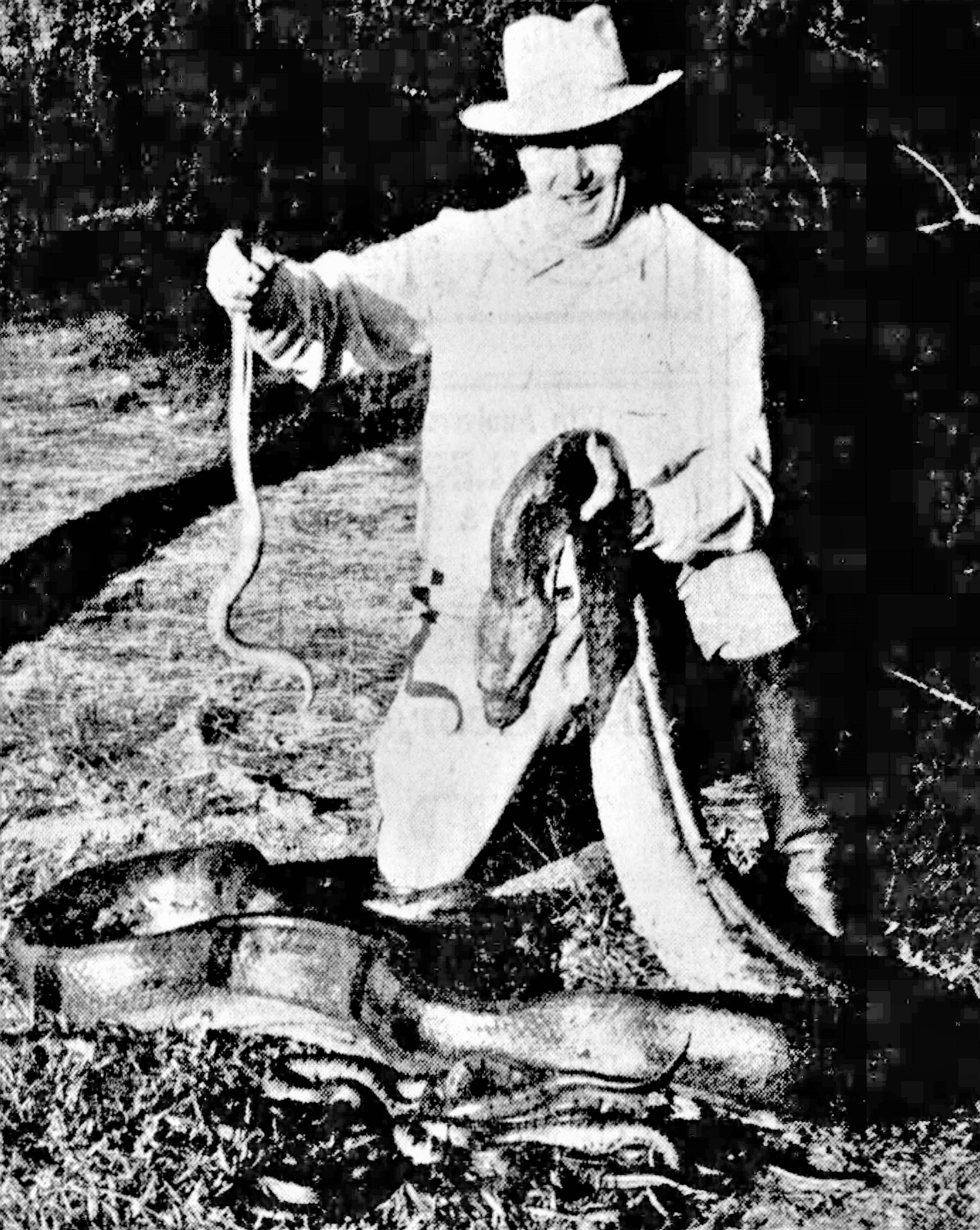 Owen Godwin with the anaconda 'Big Bertha', The Orlando Sentinel, 21 February 1957