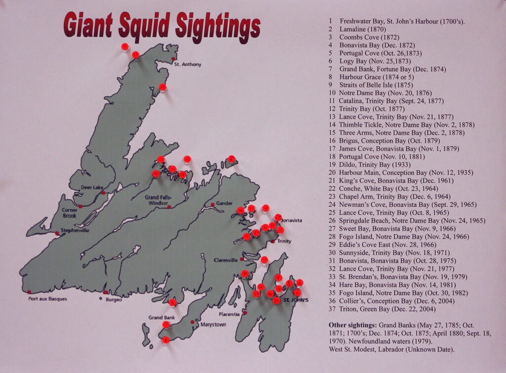 Map of giant squid sightings around Newfoundland