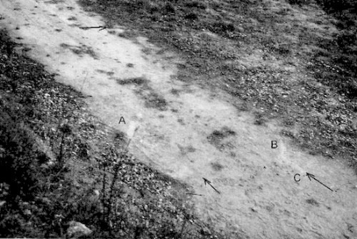 The landing mark on the terrace at Trans-en-Provence