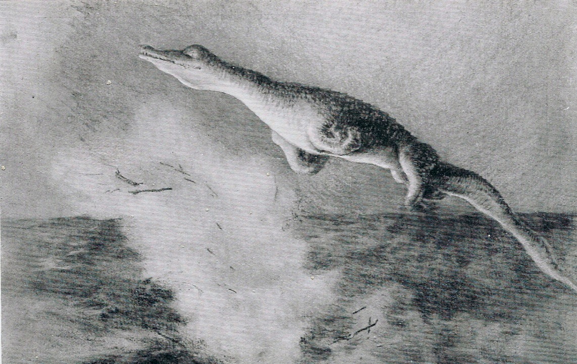Artist's reconstruction of the U-28 creature