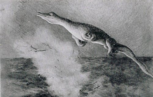 Header image of the Futility Closet article on the U-28 creature; content unconfirmed, probably an illustration
