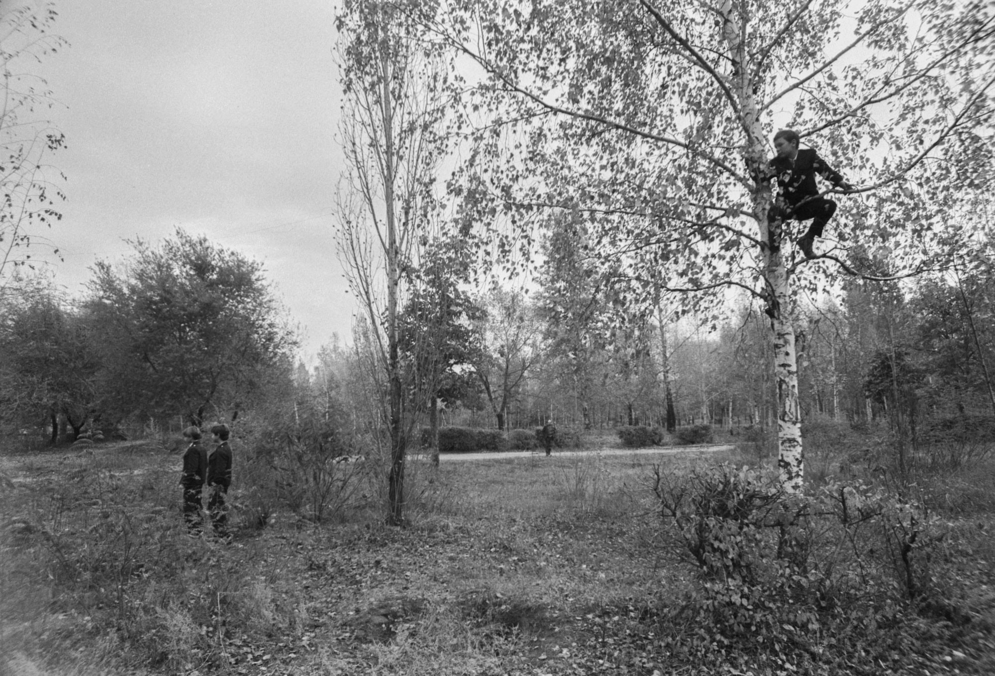 The supposed landing site in the park, 12 October 1989