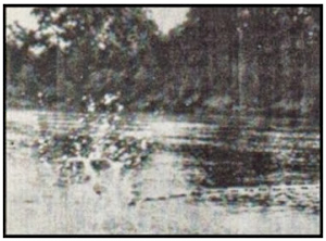 Thumbnail of the Warren Polaroid