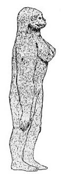 The Mica Mountain Sasquatch, drawn under William Roe's direction by his daughter