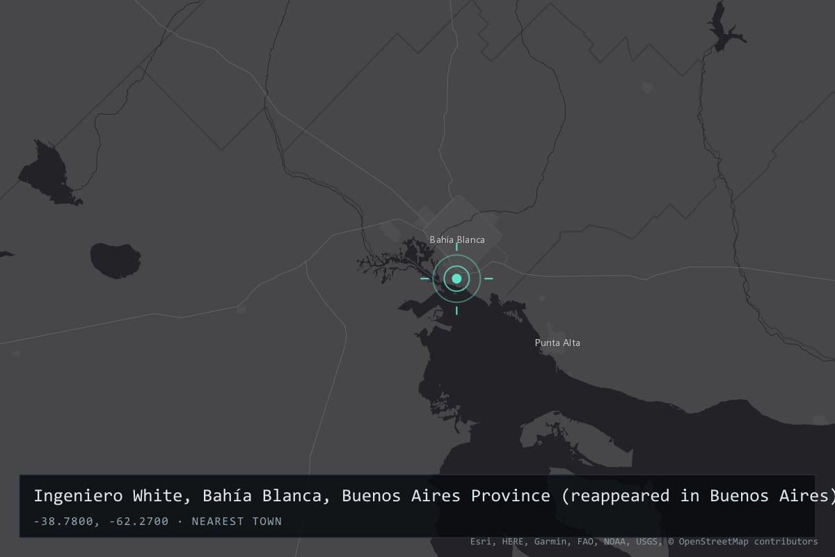 Where it happened: Ingeniero White, Bahía Blanca, Buenos Aires Province (reappeared in Buenos Aires), Argentina