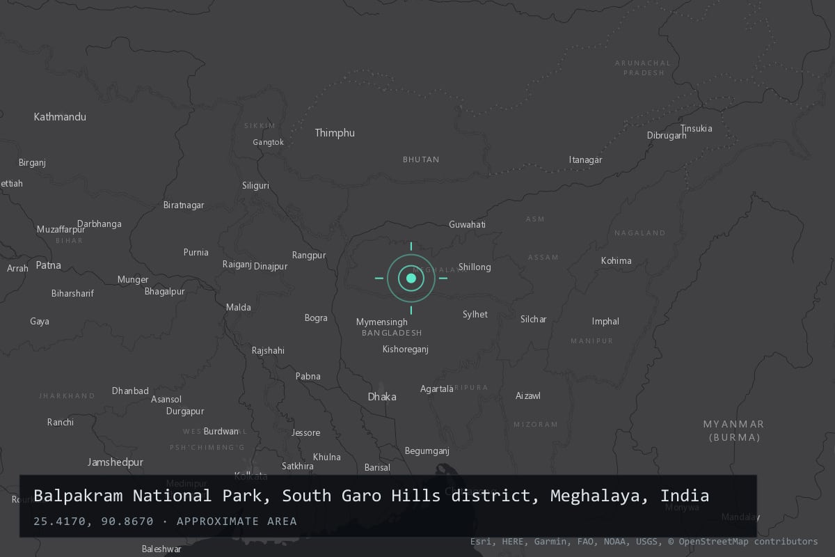 Where it happened: Balpakram National Park, South Garo Hills district, Meghalaya, India