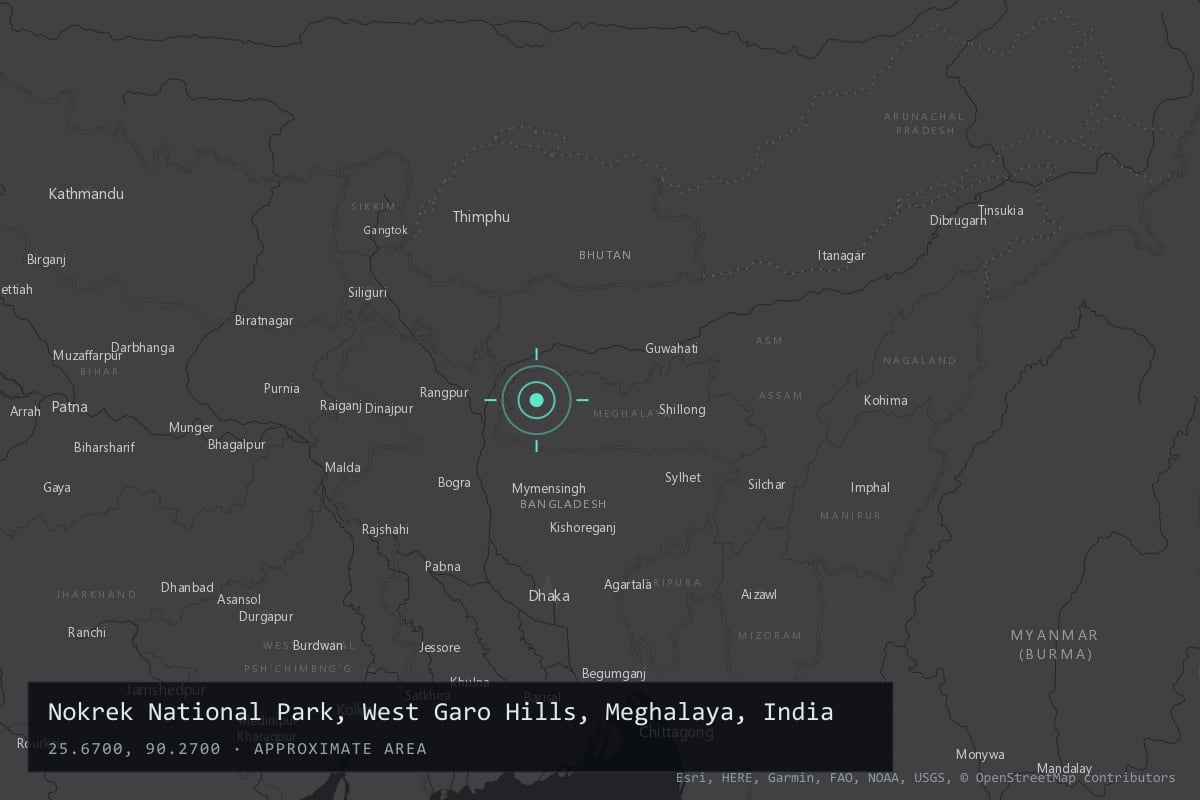 Where it happened: Nokrek National Park, West Garo Hills, Meghalaya, India