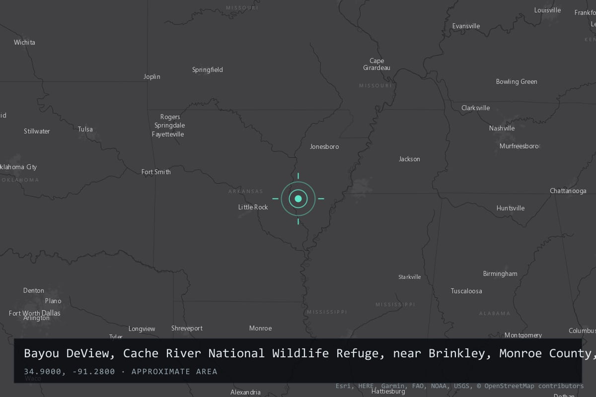 Where it happened: Bayou DeView, Cache River National Wildlife Refuge, near Brinkley, Monroe County, Arkansas, United States