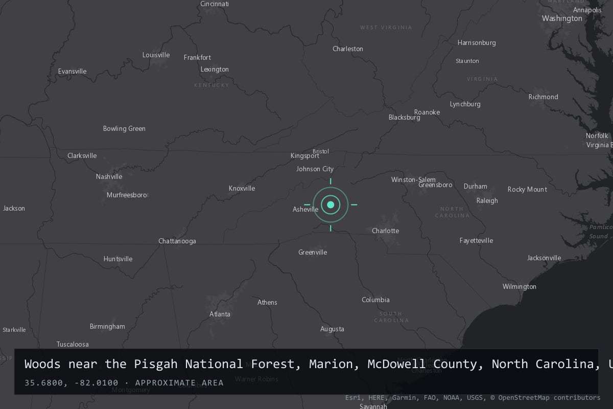 Where it happened: Woods near the Pisgah National Forest, Marion, McDowell County, North Carolina, United States