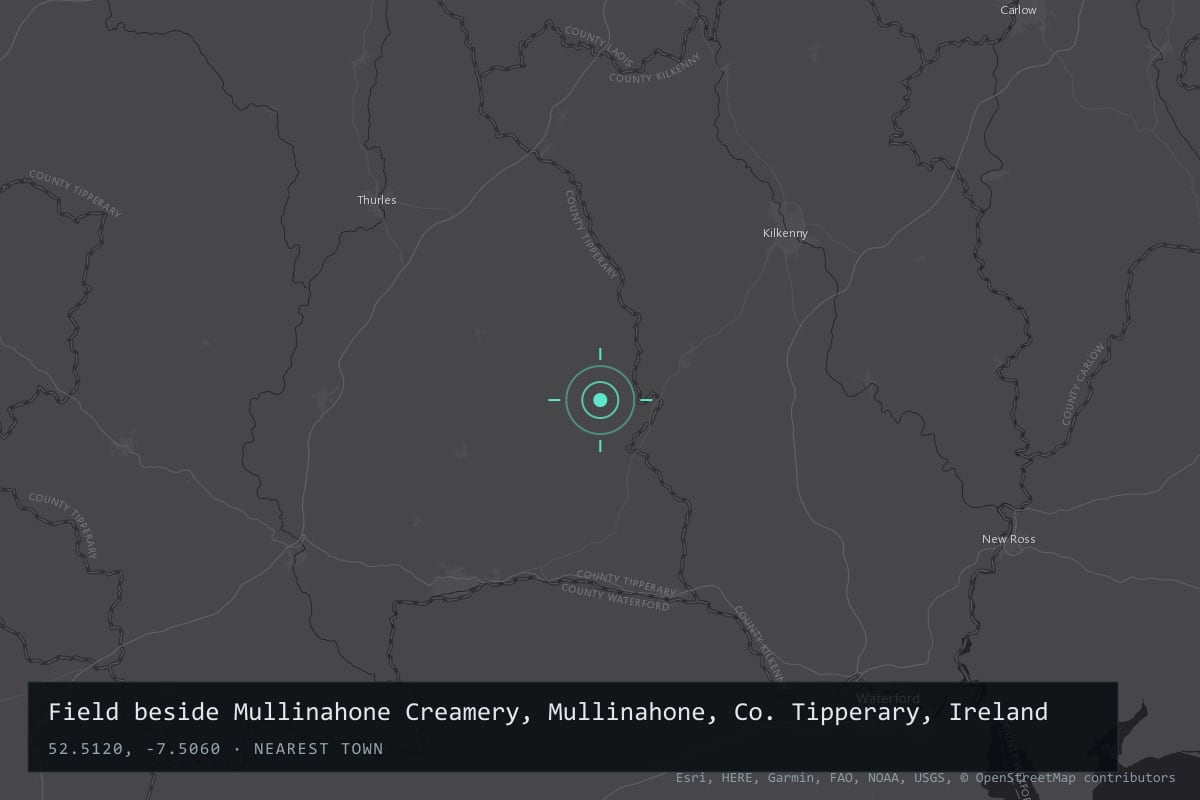 Where it happened: Field beside Mullinahone Creamery, Mullinahone, Co. Tipperary, Ireland