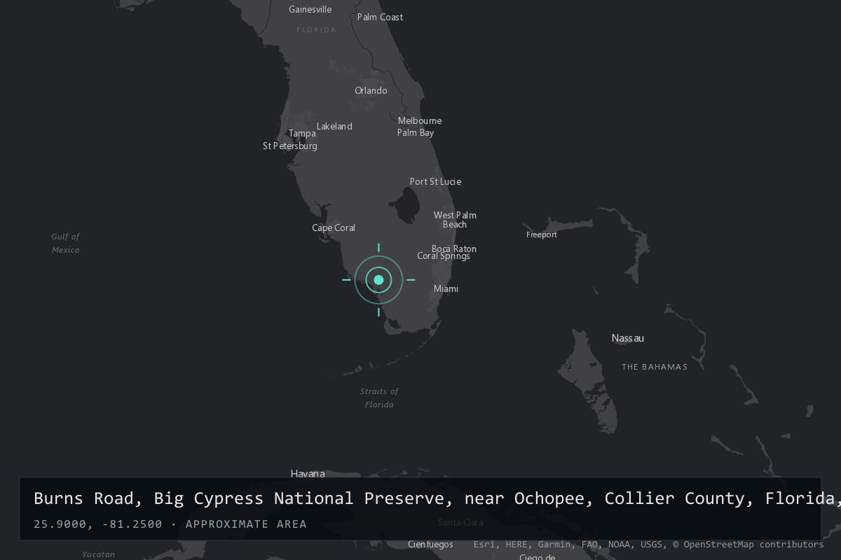 Where it happened: Burns Road, Big Cypress National Preserve, near Ochopee, Collier County, Florida, United States