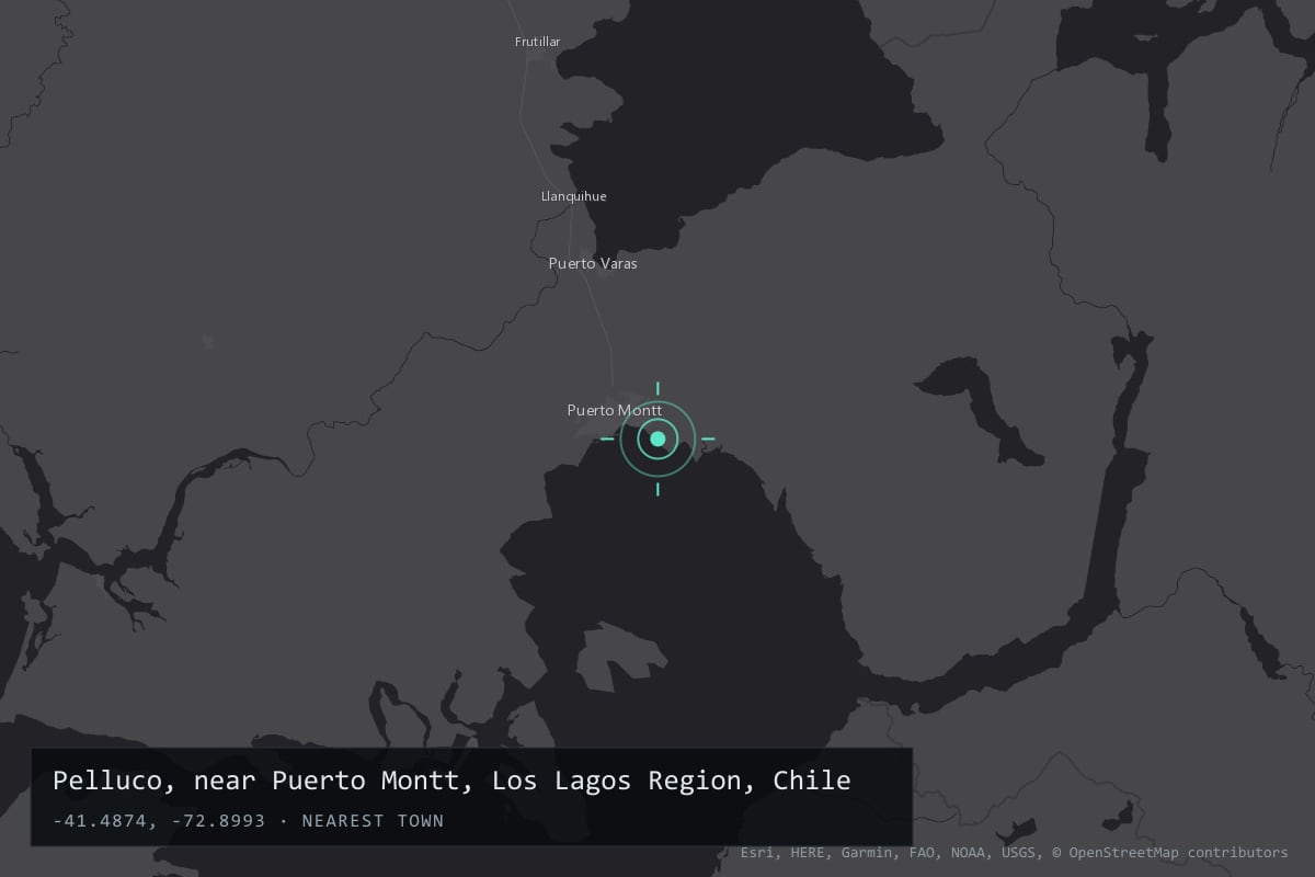 Where it happened: Pelluco, near Puerto Montt, Los Lagos Region, Chile