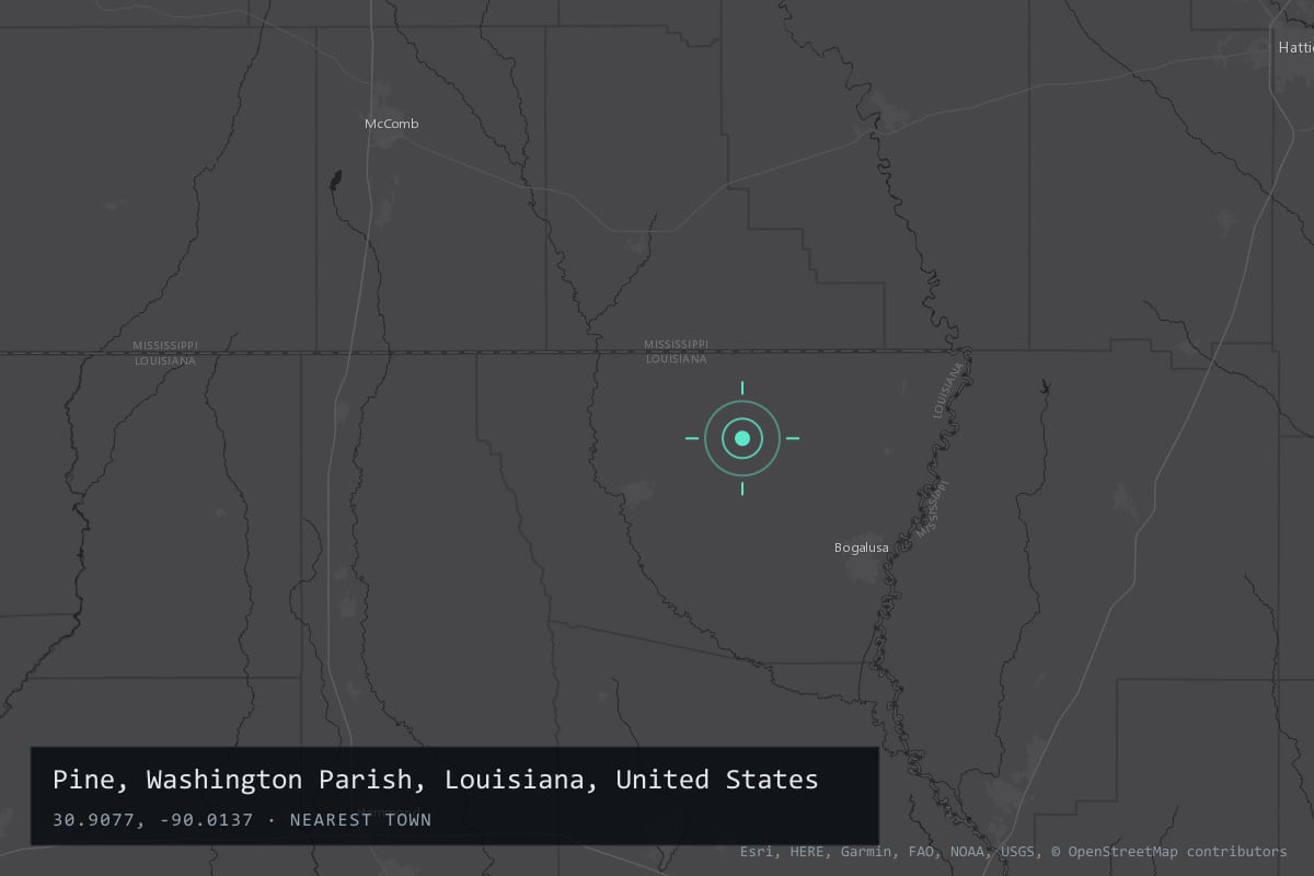 Where it happened: Pine, Washington Parish, Louisiana, United States