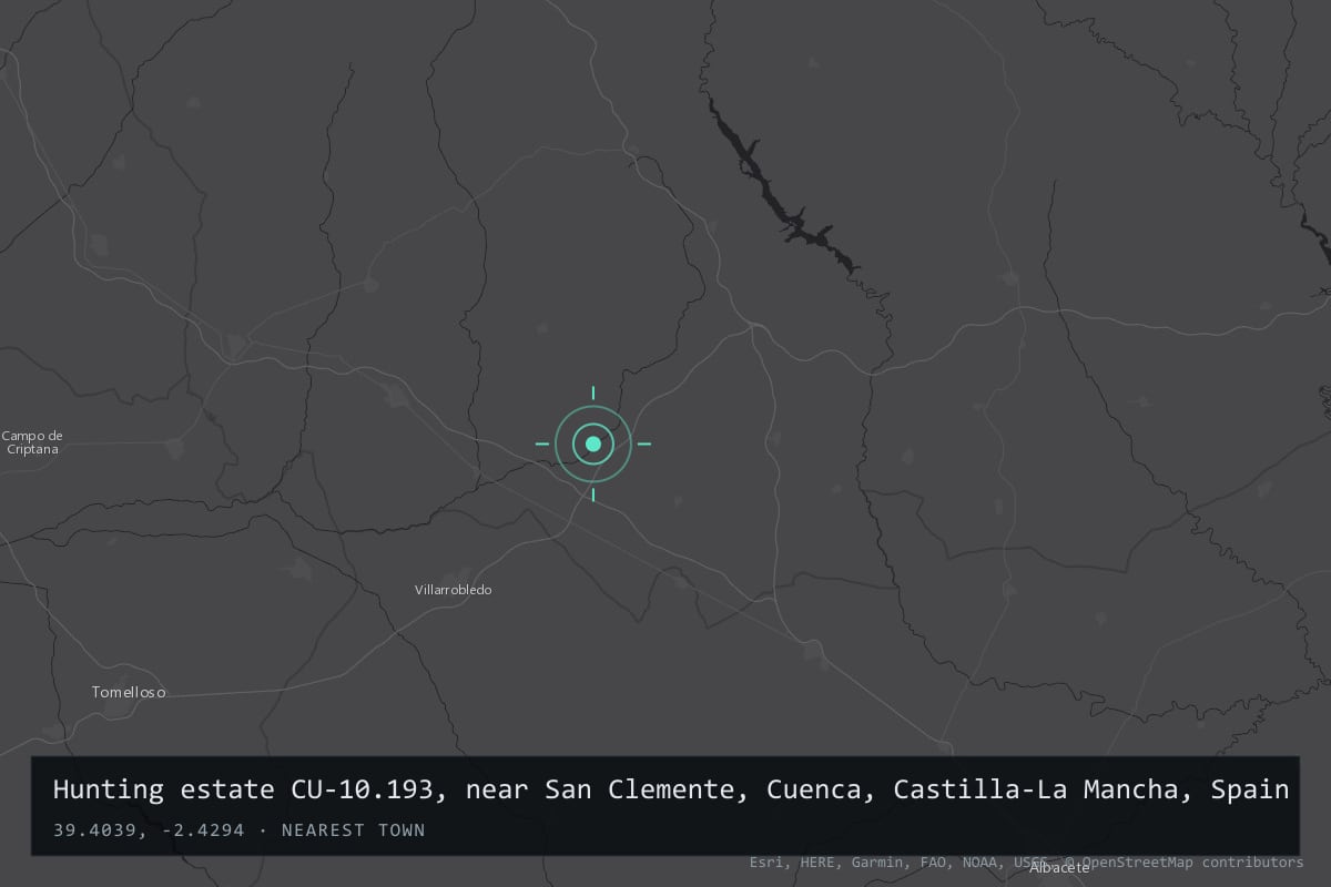 Where it happened: Hunting estate CU-10.193, near San Clemente, Cuenca, Castilla-La Mancha, Spain