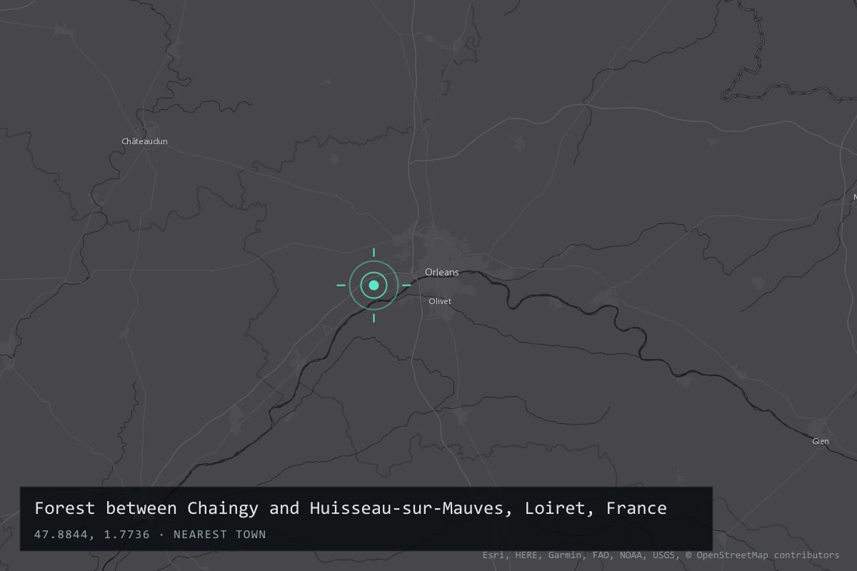 Where it happened: Forest between Chaingy and Huisseau-sur-Mauves, Loiret, France