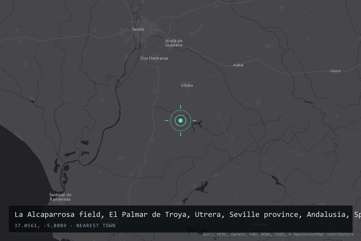 Where it happened: La Alcaparrosa field, El Palmar de Troya, Utrera, Seville province, Andalusia, Spain