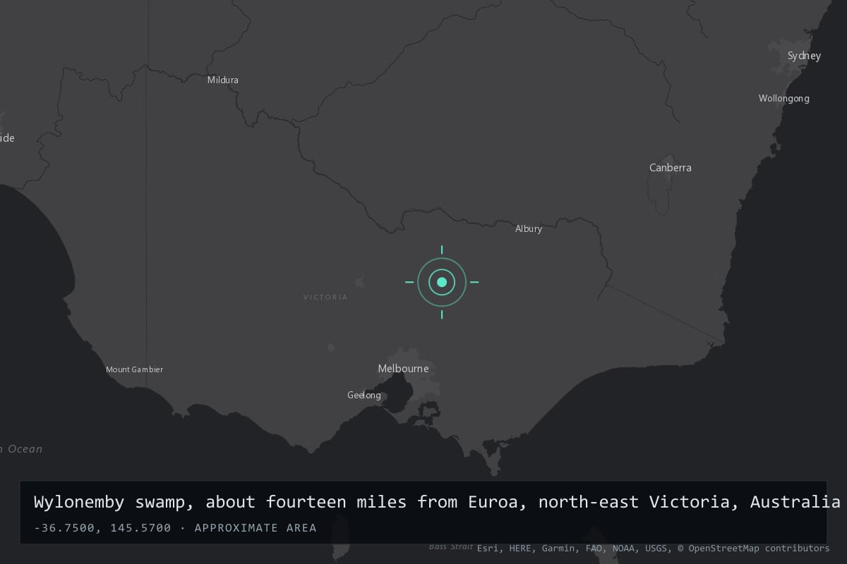 Where it happened: Wylonemby swamp, about fourteen miles from Euroa, north-east Victoria, Australia