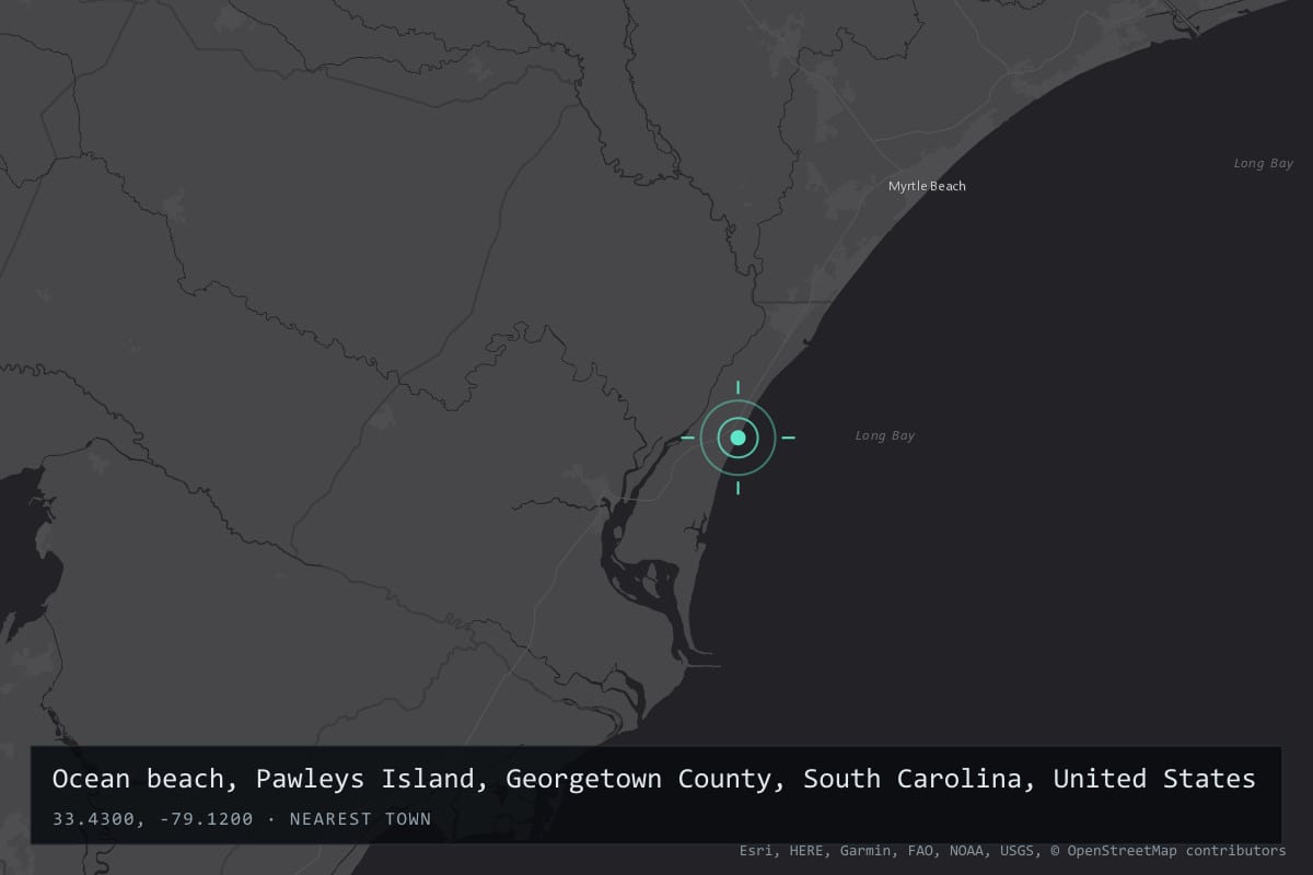 Where it happened: Ocean beach, Pawleys Island, Georgetown County, South Carolina, United States