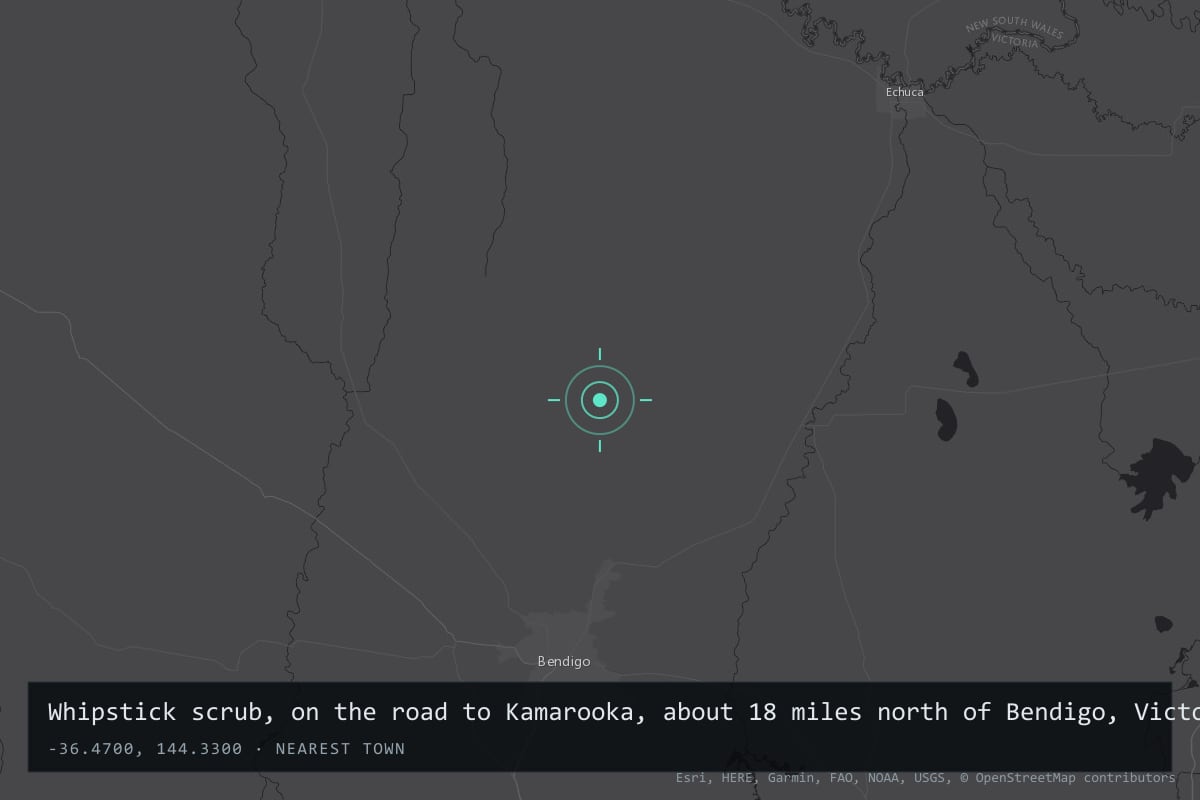 Where it happened: Whipstick scrub, on the road to Kamarooka, about 18 miles north of Bendigo, Victoria, Australia