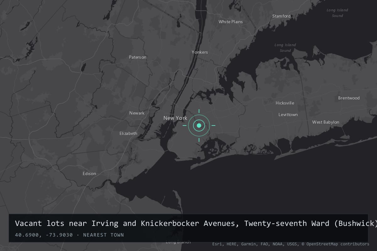 Where it happened: Vacant lots near Irving and Knickerbocker Avenues, Twenty-seventh Ward (Bushwick), Brooklyn, New York, United States