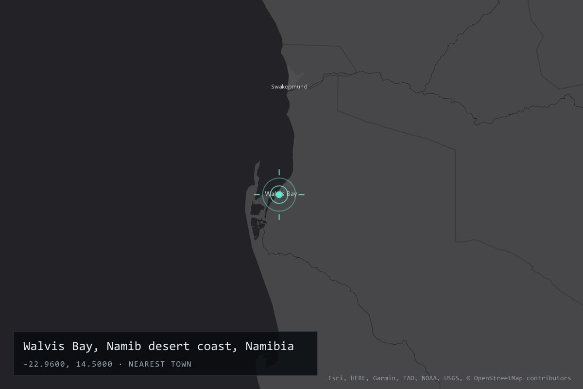 Where it happened: Walvis Bay, Namib desert coast, Namibia